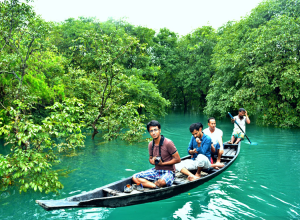 Family Tour Package